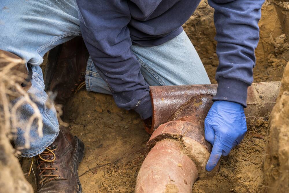 How to Fix Roots in a Sewer Line (The Ultimate Guide!)