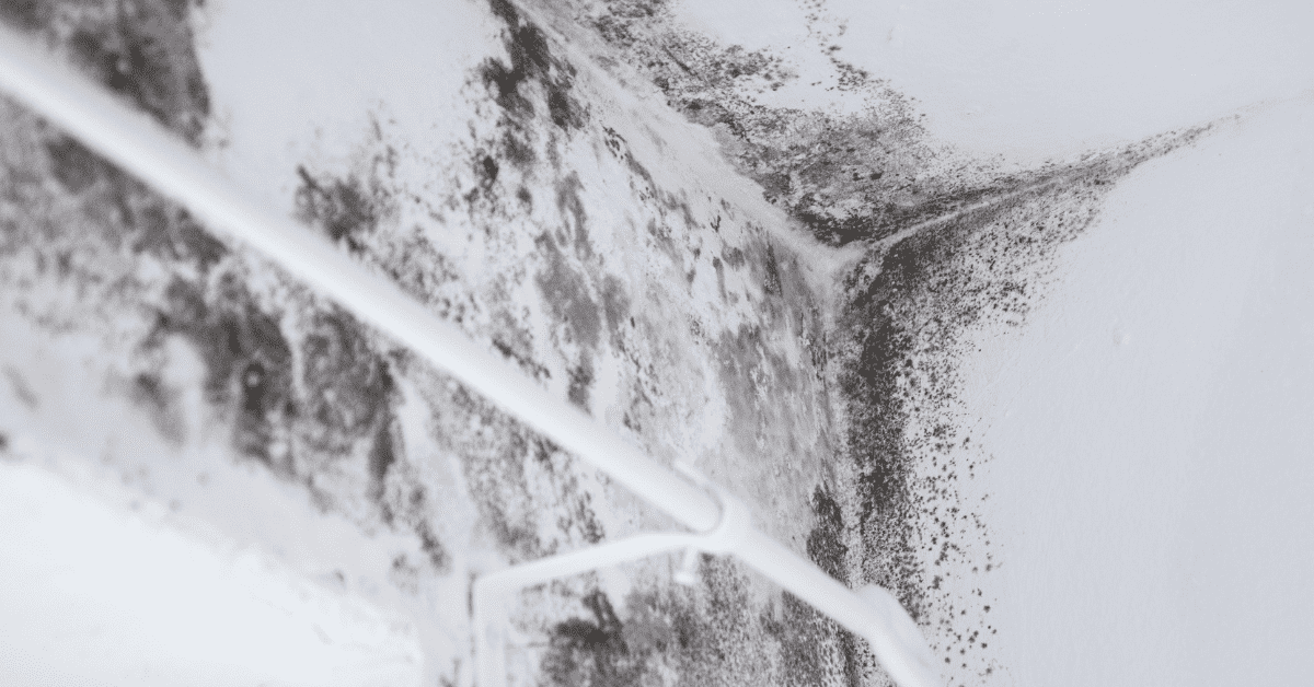 How To Prevent Water Damage&nbsp;