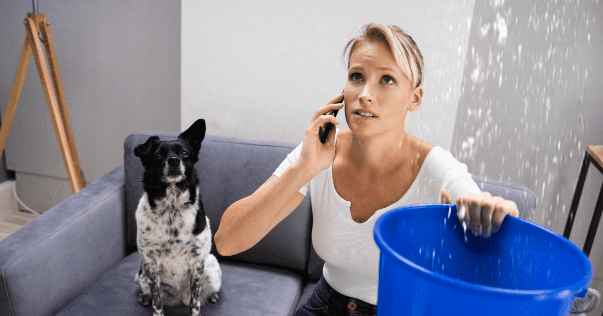 Common Causes of Water Leaks