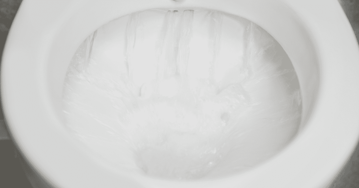 Is Your Toilet Not Flushing? Here’s 8 Reasons Why!