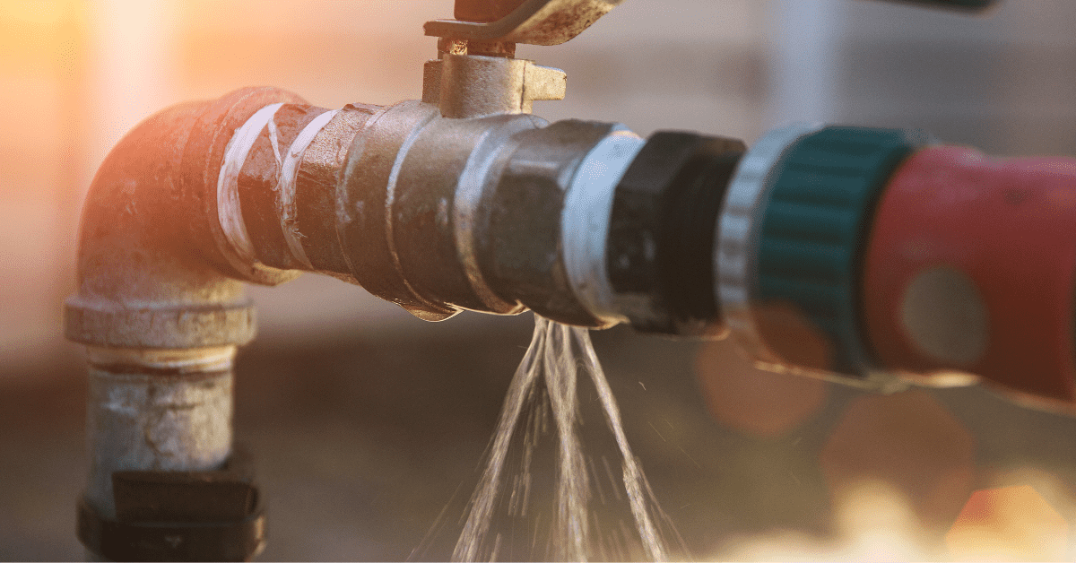 Leak Detection: How Homeowners Can Find and Prevent Costly Water Leaks