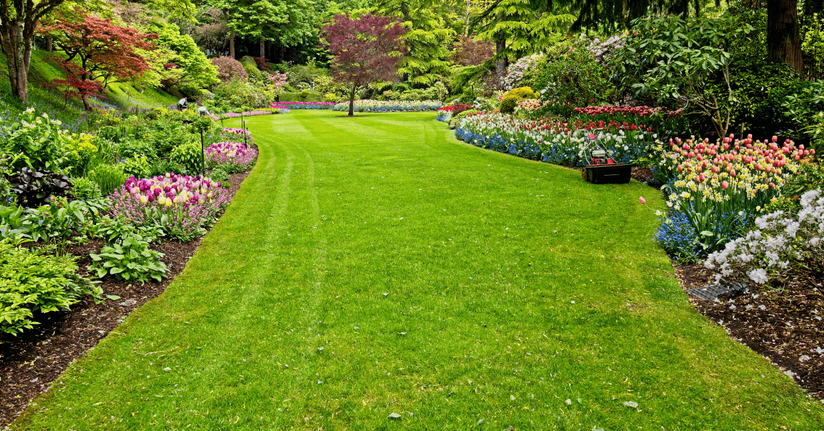 Greywater Systems: Smart, Affordable & Eco-Friendly Water Saving Tips for Homeowners